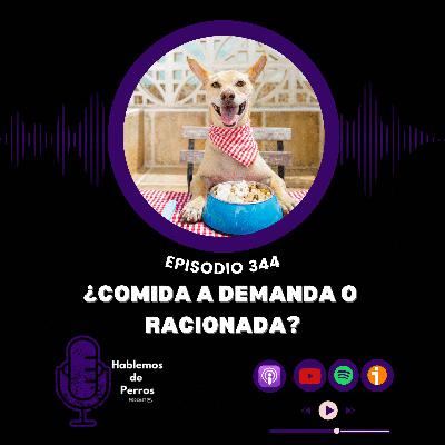 EP#344: ¿Dejo la comida a demanda o raciono?