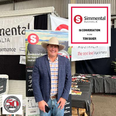 A diversified business and an enduring passion for Simmentals with Tom Baker