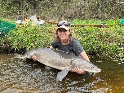 336 - Should we keep stocking Chinook Salmon in Lake Ontario? A converstaion with Dr. Kathryn Peiman 336 - Should we keep stocking Chinook Salmon in Lake Ontario? A converstaion with Dr. Kathryn Peiman