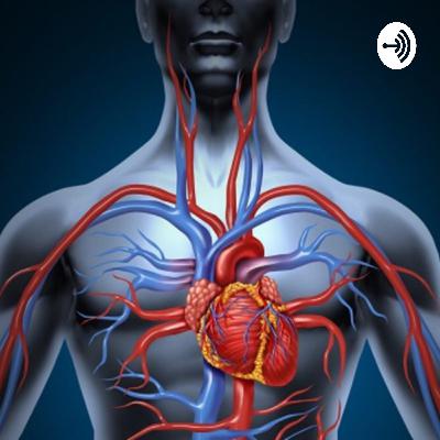 Sistema Respiratório