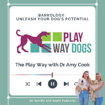 The Play Way with Dr Amy Cook