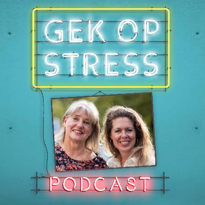 #18 Manou van Eerten - Stress & Generaties: Snappen We Elkaar Nog op de Werkvloer?