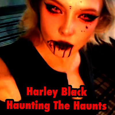 Harley Black Haunting The Haunts