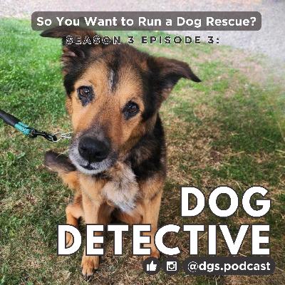 3.3 — Dog Detective Case Files: Luna, Rex and Clyde 3.3 — Dog Detective Case Files: Luna, Rex and Clyde