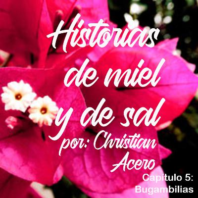 HISTORIAS DE MIEL Y DE SAL. Chapter 5. BUGAMBILIAS