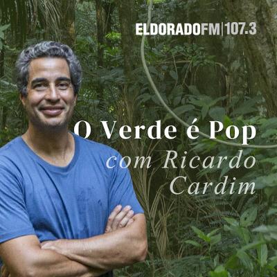 O Verde é Pop: SP: Brasil deveria ter um museu da biodiversidade em São Paulo