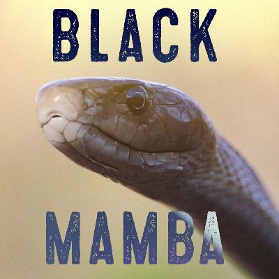 Black Mamba - The Poisoncast #01