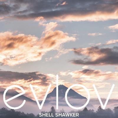 Shell Shawker