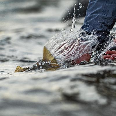 ”Poisoned passion” ”Poisoned passion”