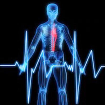 Principles in Exercise Physiology