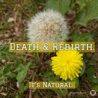 Ego-Death & Real Life Salvation