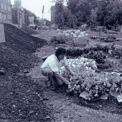 L'Îlot Fleurie - 20 ans de laboratoire artistique