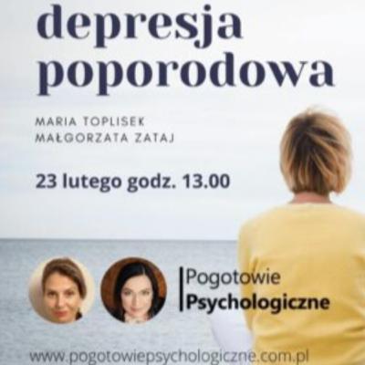 Depresja poporodowa - Maria Toplisek, Małgorzata Zataj
