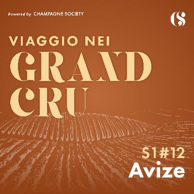 Viaggio nei Grand Cru - S1 EP12 - Avize Viaggio nei Grand Cru - S1 EP12 - Avize