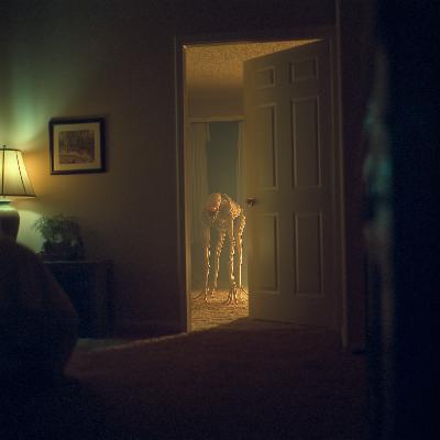 LAZARUS COCOON - PART 4