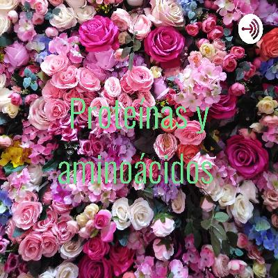 Proteínas y aminoácidos Proteínas y aminoácidos