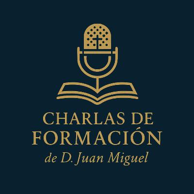 Teología del cuerpo VII