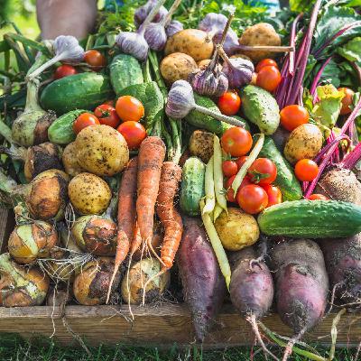 Roots to Health - building Food Resilience at all Scales with Daphne du Cros of the Shropshire Good Food Partnership