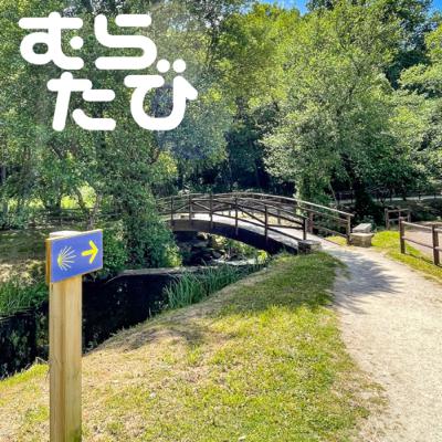 C#42 (D54) ニアゼロデー👣ホテル&レストラン難民 20230515