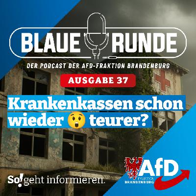 Krankenkassen schon wieder teurer? | Die Blaue Runde, Ausgabe 37/25 vom 12. Juni 2025