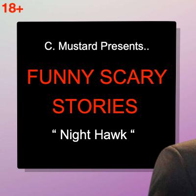 The Night Hawk #17 The Night Hawk #17