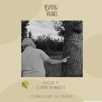 Tonnellerie La Grange - Le Chêne en Majesté