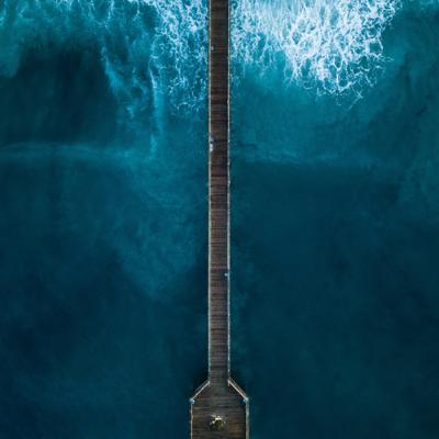 Episode #49: Hawks, iPhone Swallowed By Ocean, & 3 Ways To Integrate Breathwork