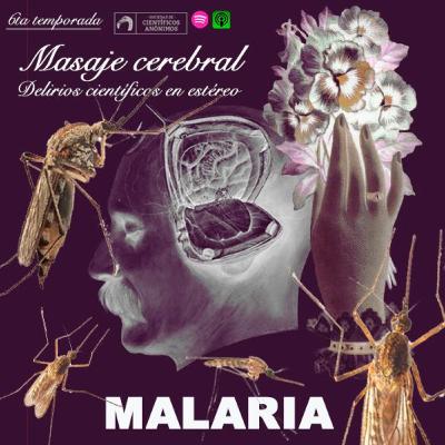 MALARIA