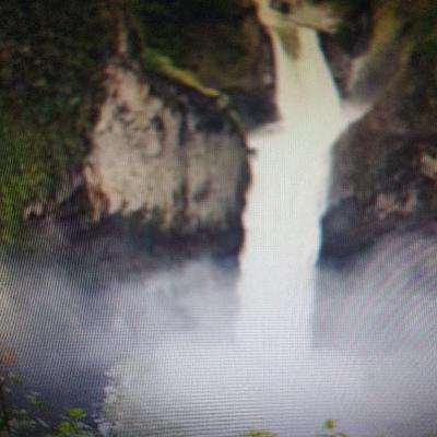 Manantial Amazonico