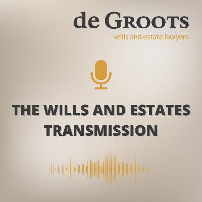 Episode: 25 Capacity and Red Flags to look for With John de Groot