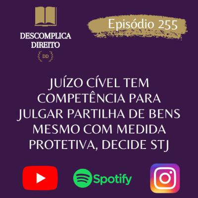 JUÍZO CÍVEL TEM COMPETÊNCIA PARA JULGAR PARTILHA DE BENS MESMO COM MEDIDA PROTETIVA, DECIDE STJ