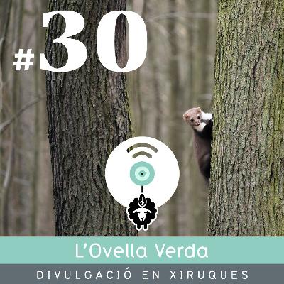 30 | Recuperació de fauna amb la Mireia Querol Rovira (Biologueando)