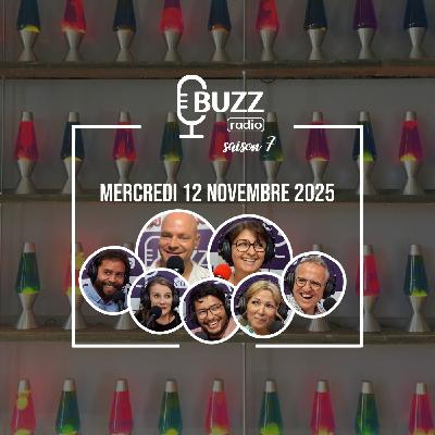 Mercredi 12 novembre 2025