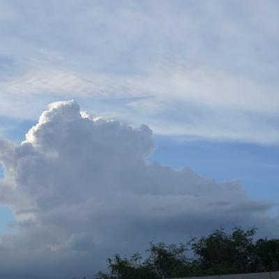 Weather Forecast