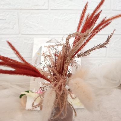 Bullshit ini harus sembuh