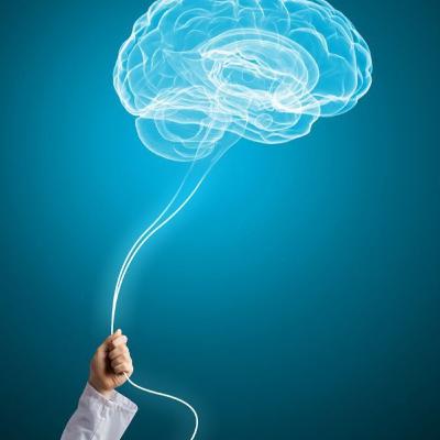 Modelo de Intervención en Fisioterapia