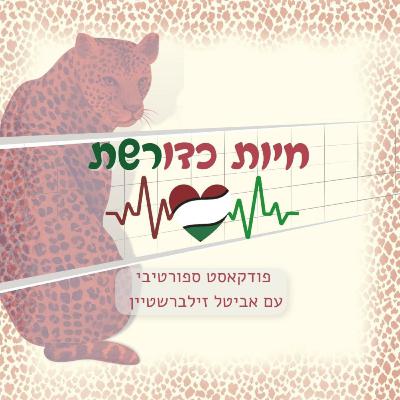 מחשבות ותובנות מפרק 35 - קפטניות או לא להיות