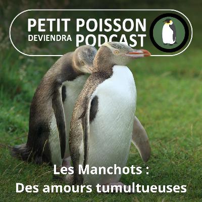 S05E16 Les Manchots : Des amours tumultueuses