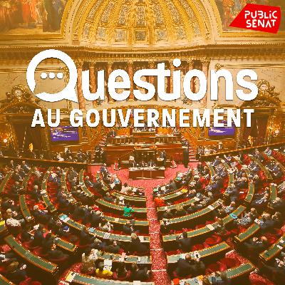 Questions au Gouvernement du 14 mai