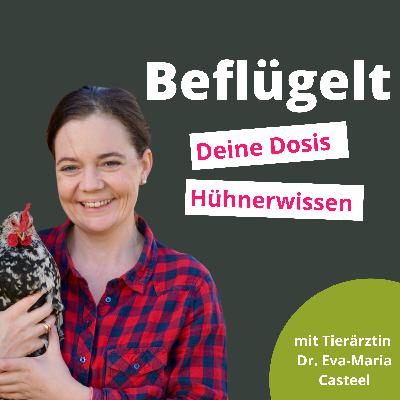 Hühnerschnupfen - Das solltest du zuerst tun, wenn deine Hühner niesen Hühnerschnupfen - Das solltest du zuerst tun, wenn deine Hühner niesen