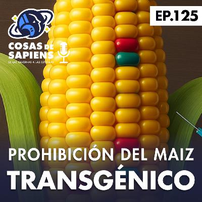 125: PROHIBICIÓN DEL MAÍZ TRANSGÉNICO