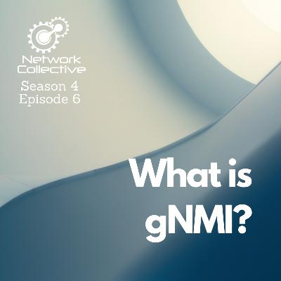 What is gNMI? What is gNMI?