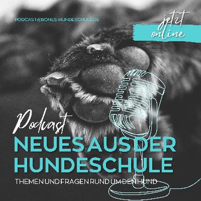 Folge 2 - Der Welpe zieht ein... die ersten Schritte