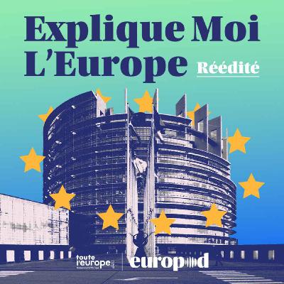 7. Le travail des députés européens et le parcours des lois européennes [Réédité]