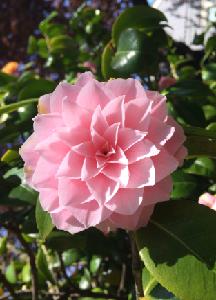 026 - Antidote To Crushing Heartbreak: Part 5 - Forgiveness