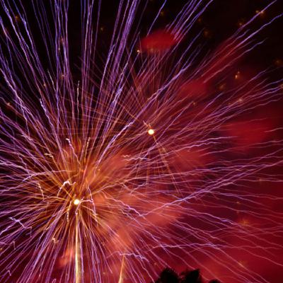 Are you plagued by fireworks in your area?
