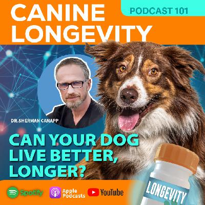 Can Your Dog Live Better Longer? Can Your Dog Live Better Longer?