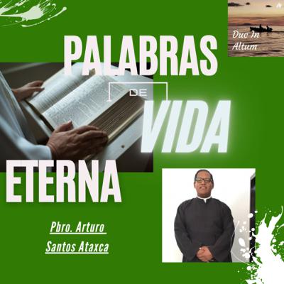 T. 4 Ep. 6. Palabras de Vida Eterna. Vieron donde vivía y se quedaron con él. T. 4 Ep. 6. Palabras de Vida Eterna. Vieron donde vivía y se quedaron con él.