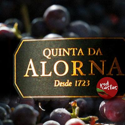 Ep. 25 - O vinho Quinta da Alorna