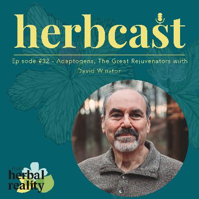 The Herbalist’s Guide to Adaptogens: Stress, Immunity & Energy Support with David Winston